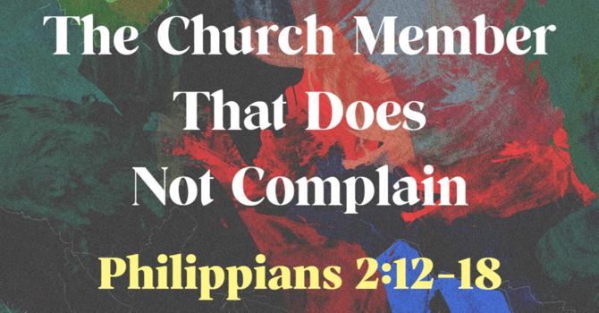 Philippians 2:12-18