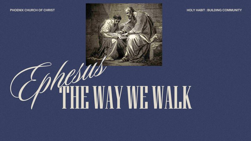 The Way We Walk 