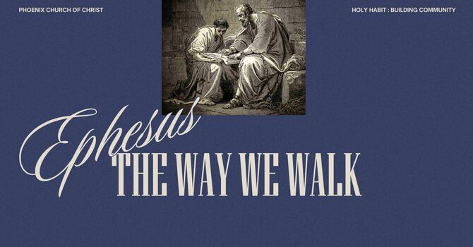 The Way We Walk 