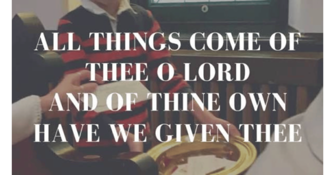 A note from the Stewardship Team  image