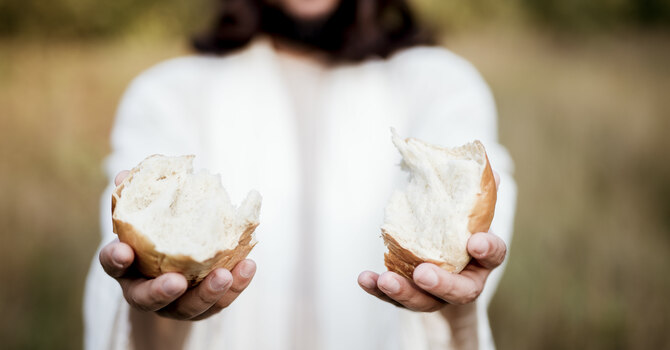 When Questions Encounter Christ