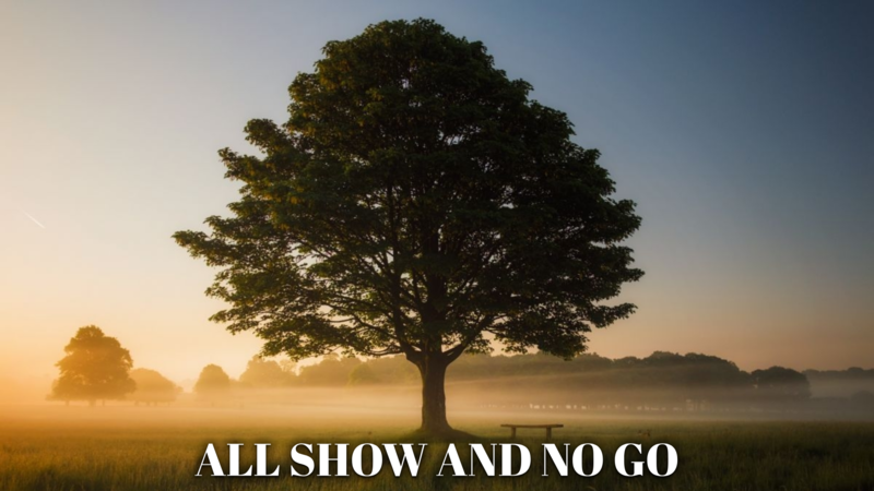 All Show And No Go