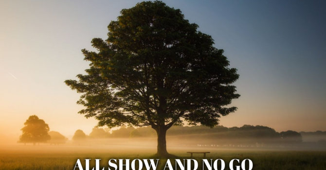 All Show And No Go