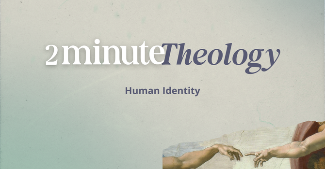 Human Identity | 2MT image