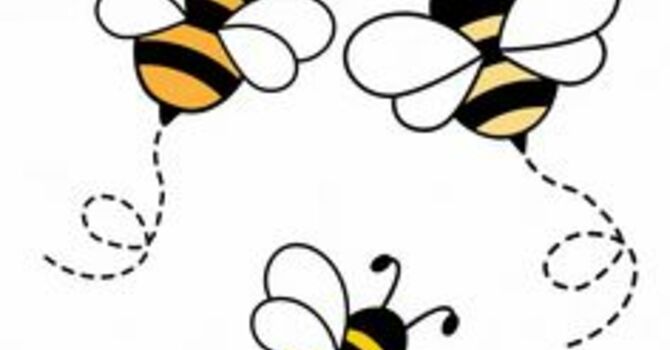 Worker Bee at SOV