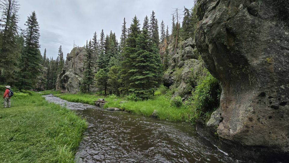 Slideshow image