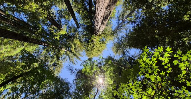 Look Outward