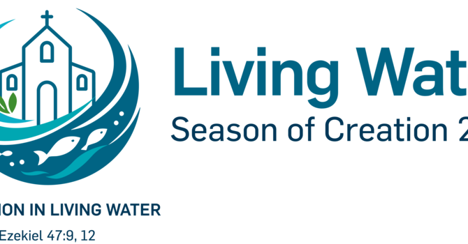 Season of Creation Resources  image