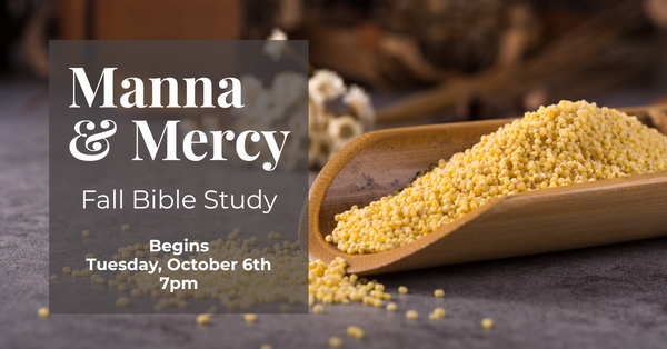 Bible Study: Manna & Mercy