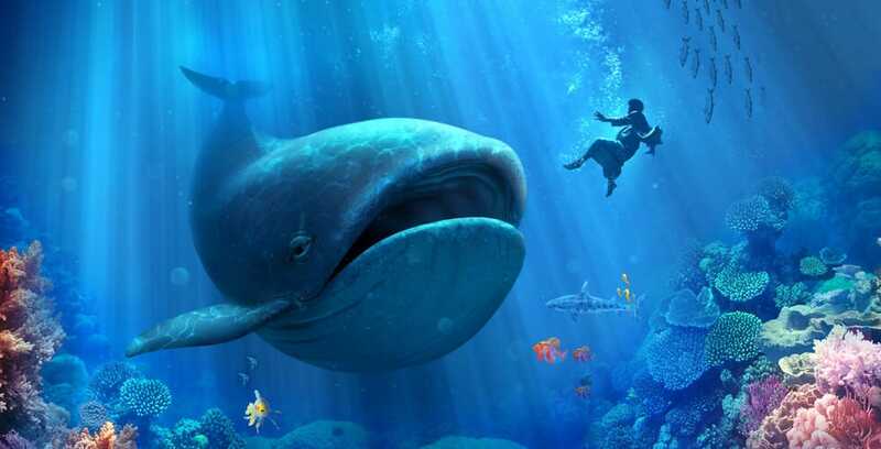 Jonah