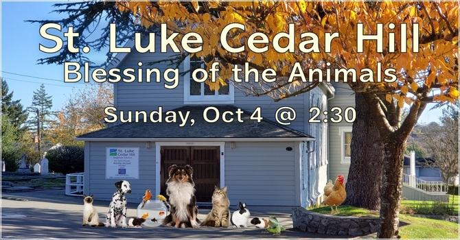 Blessing of the Animals Service