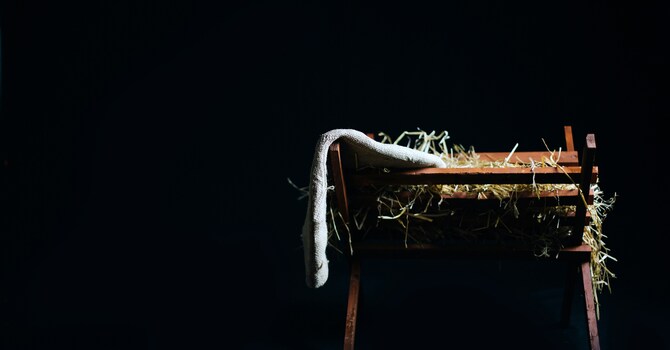 Nativity Live
