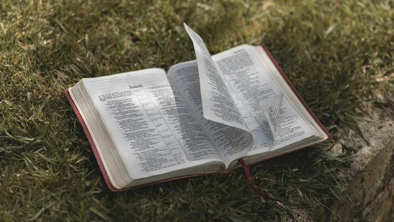 Why God's Word Matters