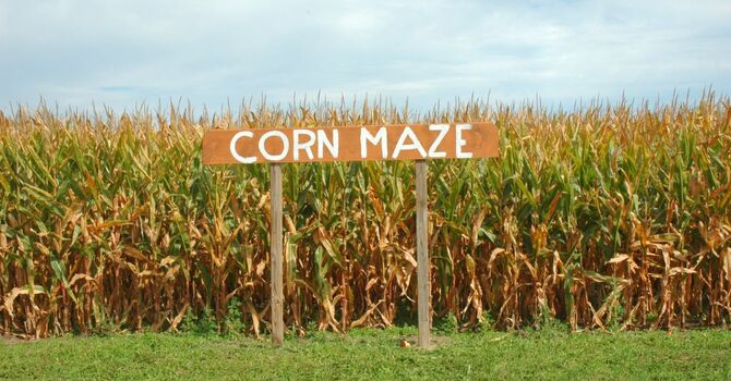 Youth Corn Maze Kickoff!