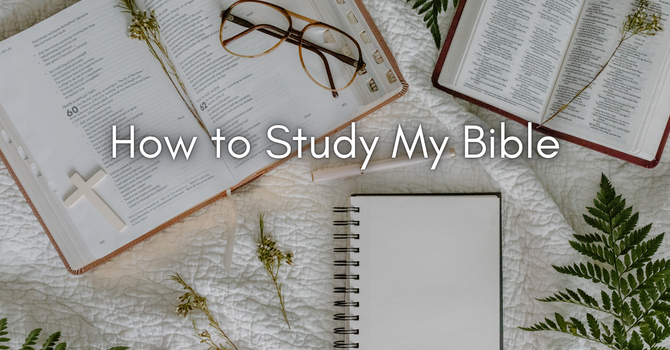How to Study My Bible image