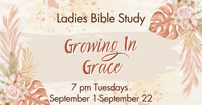 Ladies Bible Study