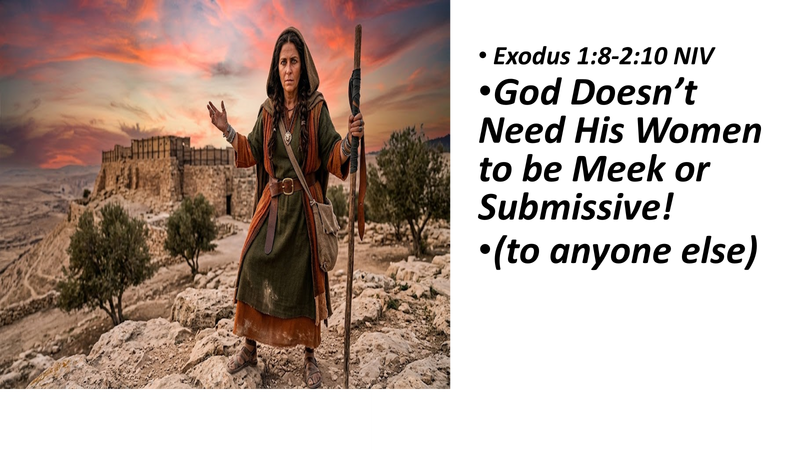 God Doesn't Need His Women to be Meek or Submissive! (to anyone else)