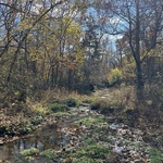 nav image