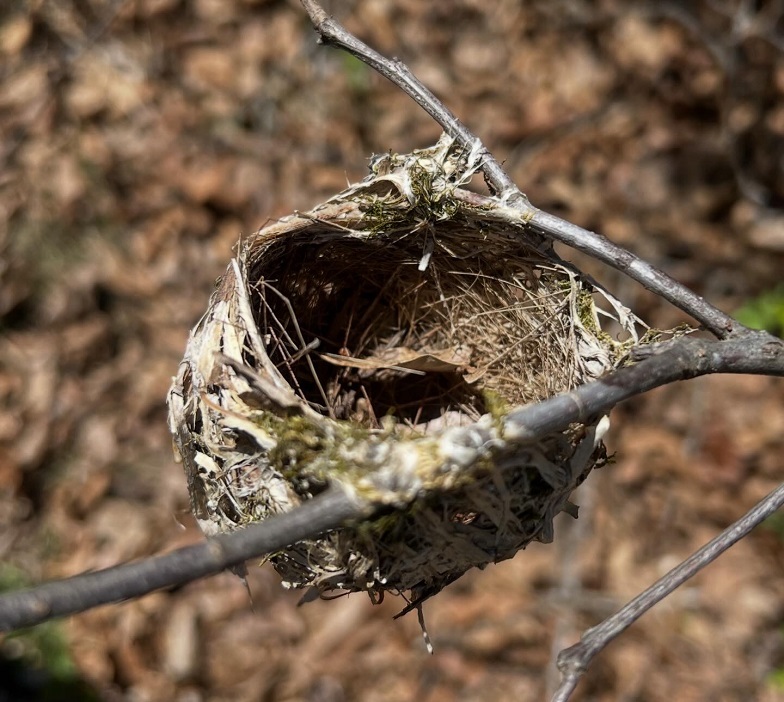 Slideshow image