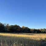 nav image