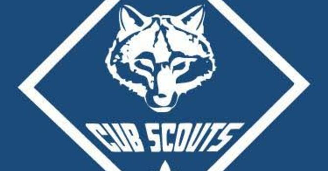 Cub Scouts