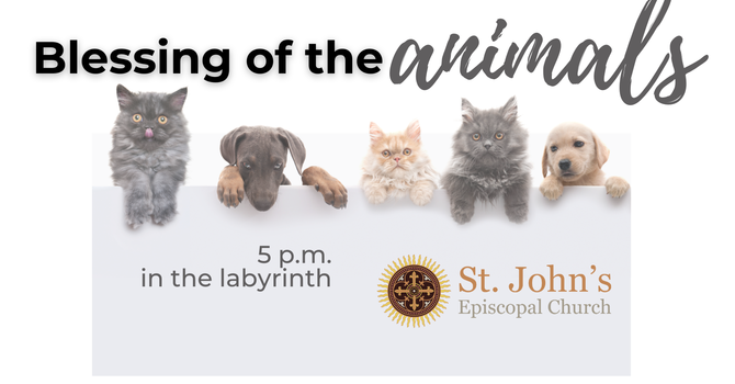 Blessing of the Animals