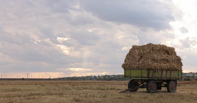 Hay Ride