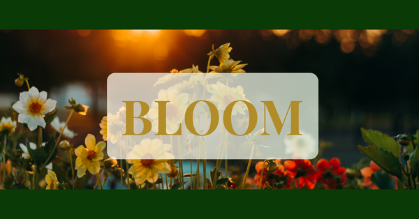SEPTEMBER NEWSLETTER