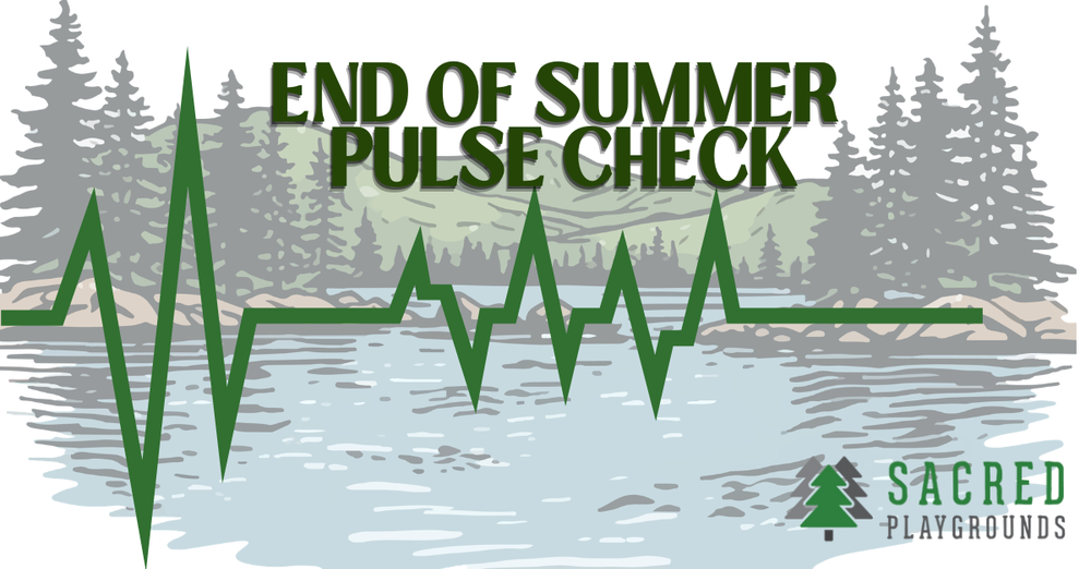 End-Of-Summer Pulse Check