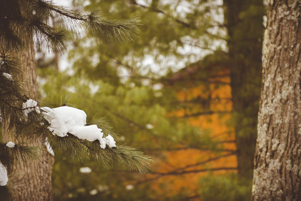 Slideshow image