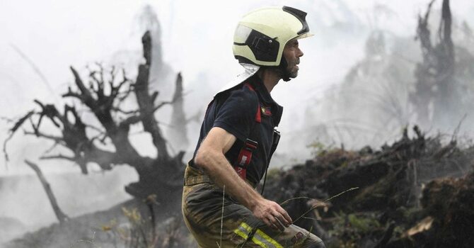 Hottest July on record globally:  image