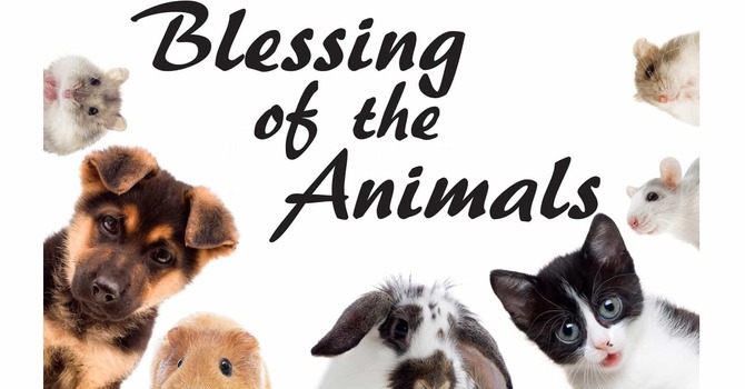 BLESSING OF THE ANIMALS image
