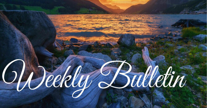 Bulletin for August 22 & 23, 2026
