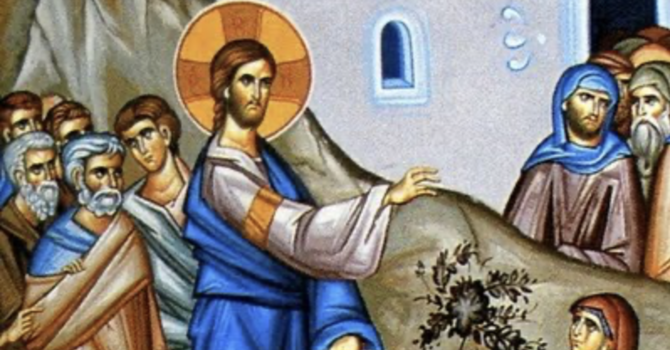 Eleventh Sunday After Trinity