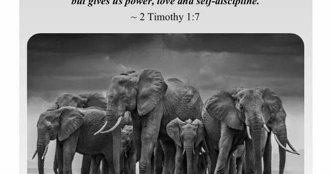 WORSHIP THIS SUNDAY, AUGUST 23 AT 10:30 A.M. image