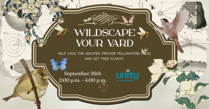 WILDSCAPE YOUR YARD