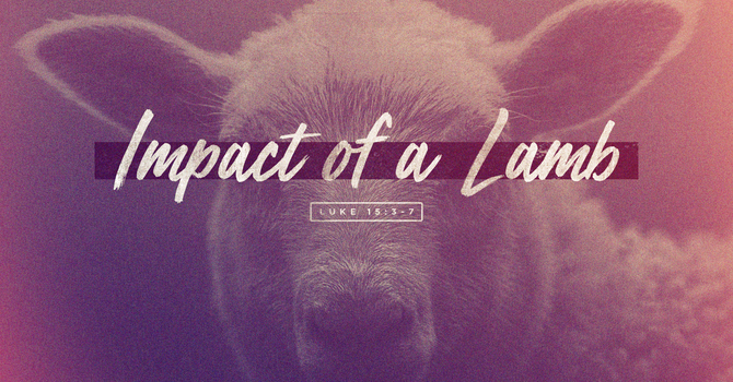Impact of a Lamb