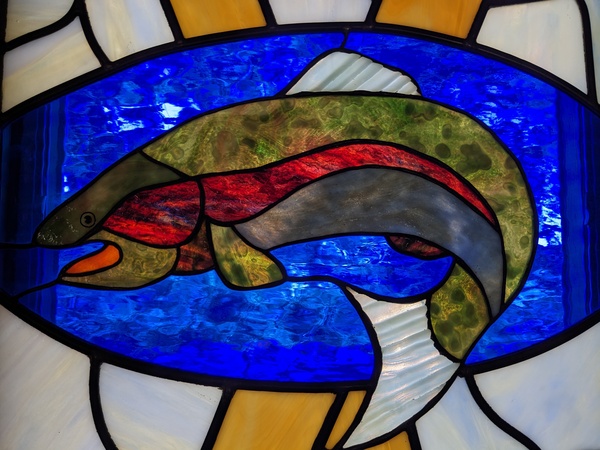 Weekly Update for the 13th Sunday After Pentecost