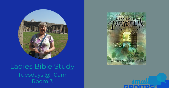 Ladies Tuesday Bible Study