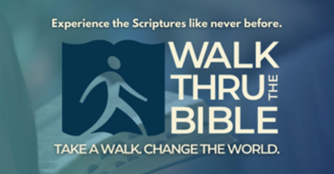 Women's Bible Study