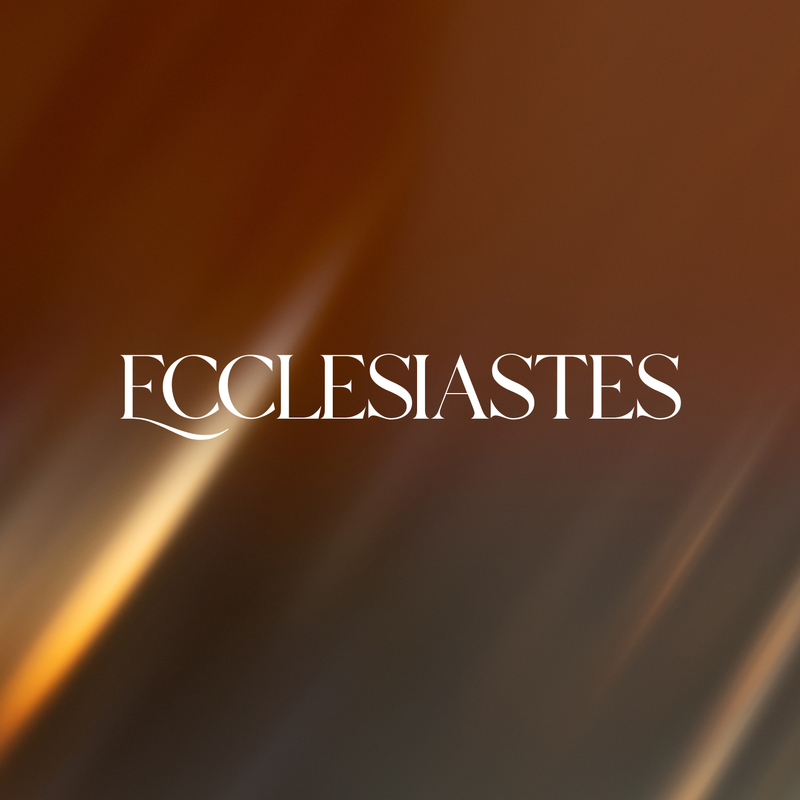 Ecclesiastes 6:1-12