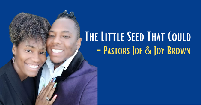 The Little Seed That Could