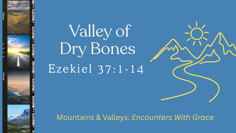 Valley of Dry Bones