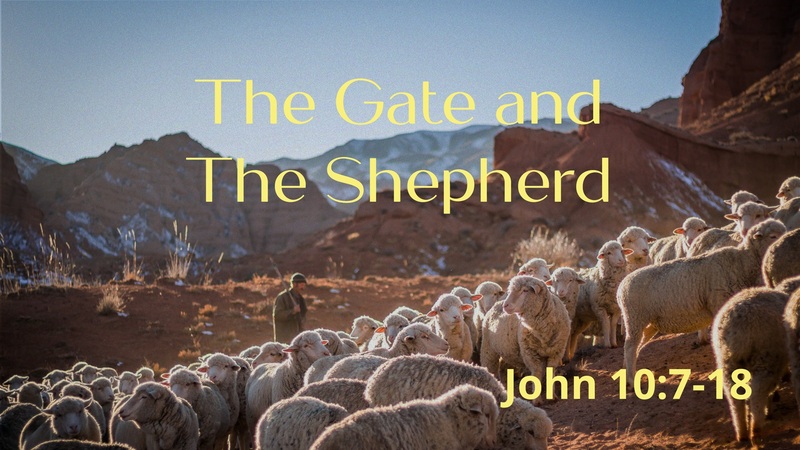 The Gate and The Shepherd