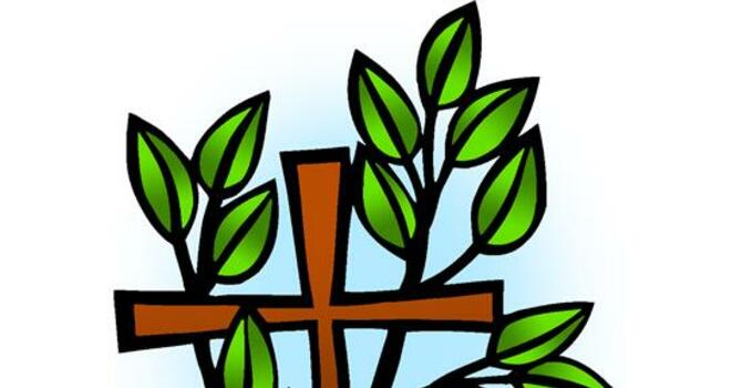 (upcoming) 14th Sunday after Pentecost