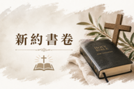 新約書卷