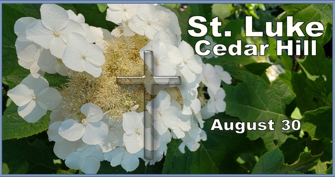 Services for the Fourteenth Sunday after Pentecost