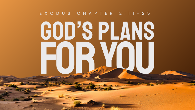GOD'S PLANS FOR YOU
