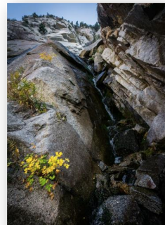 Slideshow image