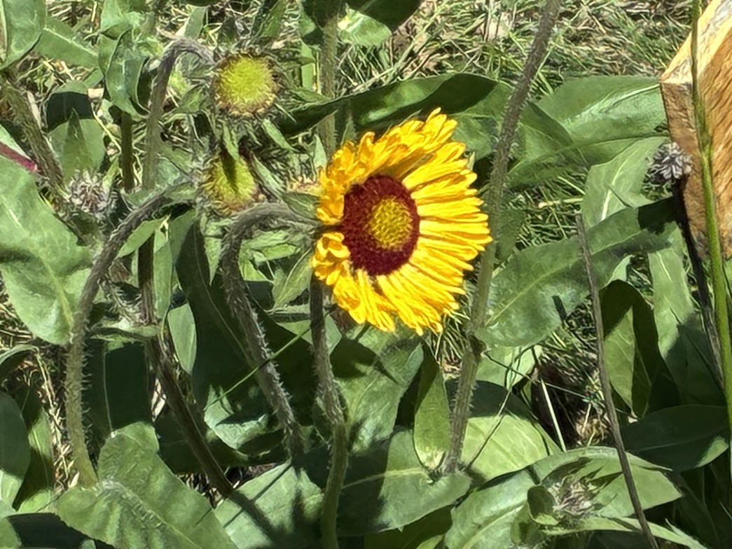 Slideshow image